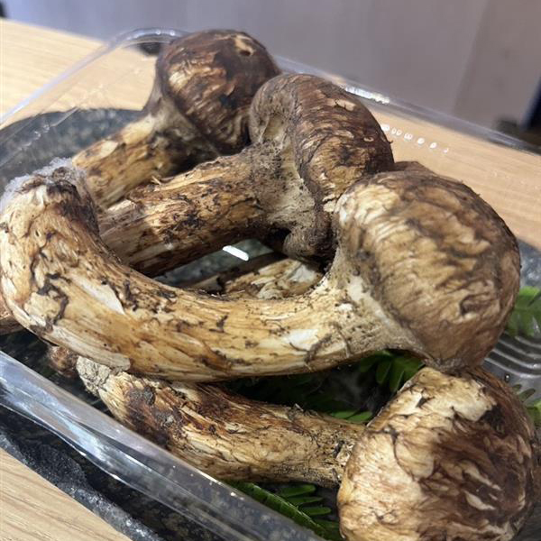 笑ごころ すみれ 料理