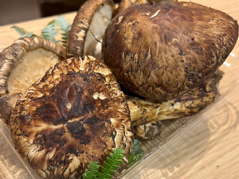 料理へのこだわり